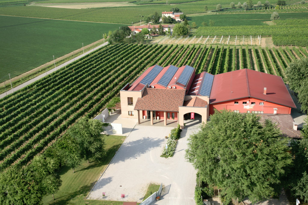 dégustation de vins BIO et deux bouteilles offertes!